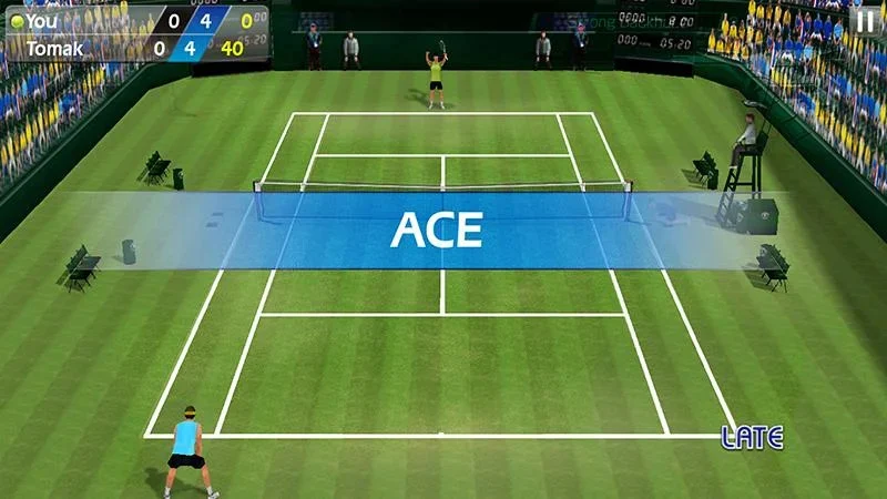 3D Tennis  Mod Apk